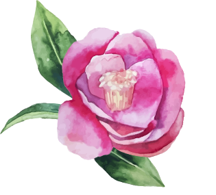 Coastal Georgia Camellia Society