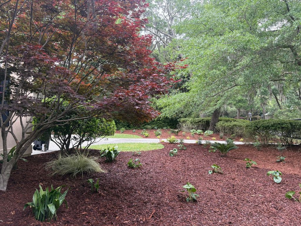 Layered coastal landscape garden